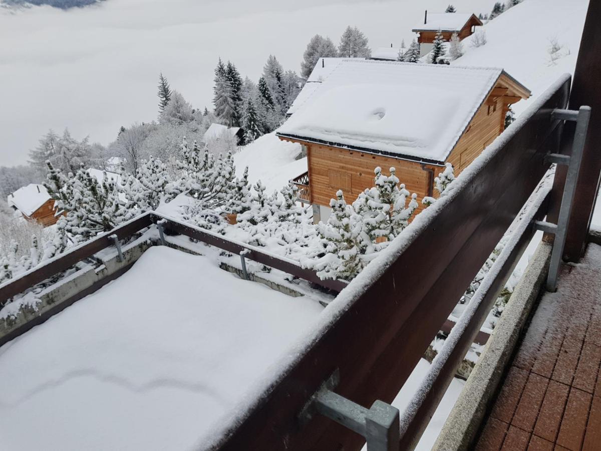 Les Collons1800- Bel Appart 2Pieces-4 Pers-Piscine-Sauna-Parking Int-Wifi Gratuit Vex Eksteriør billede